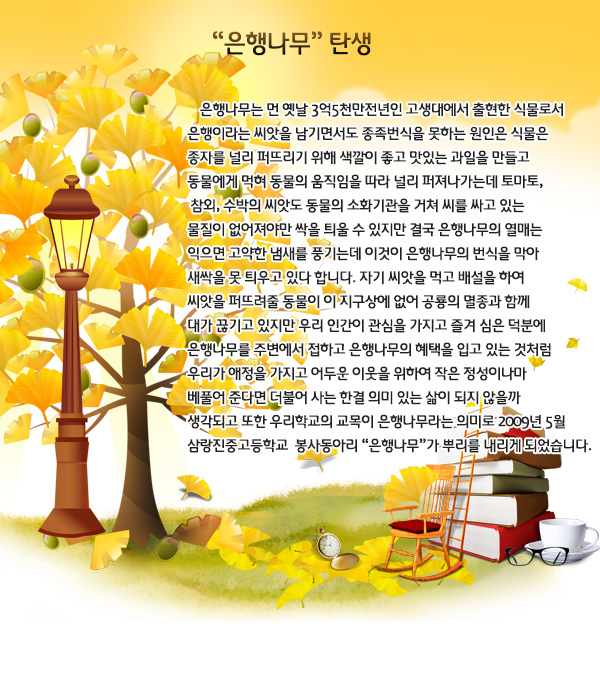 은행나무소개